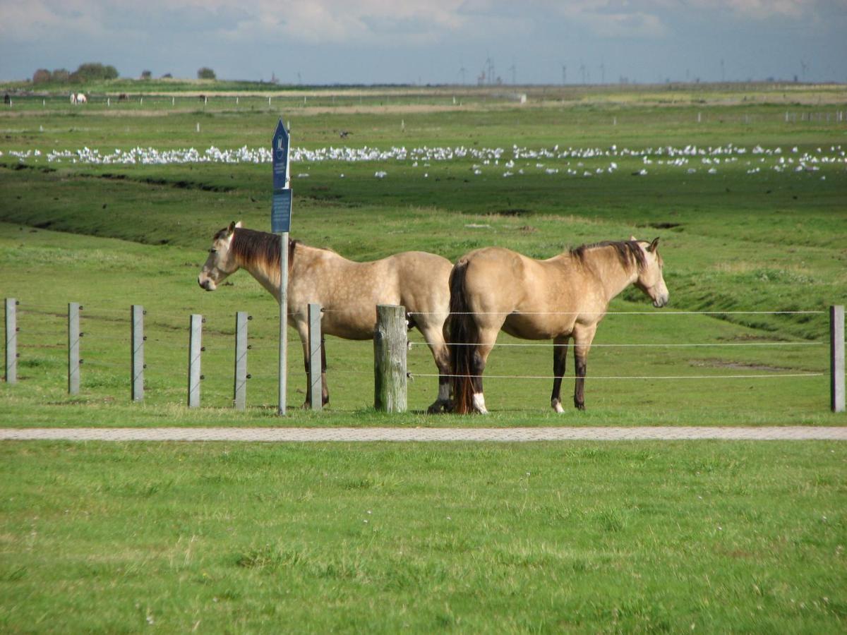 Seevilla Wietjes Whg 5 Baltrum Exterior foto